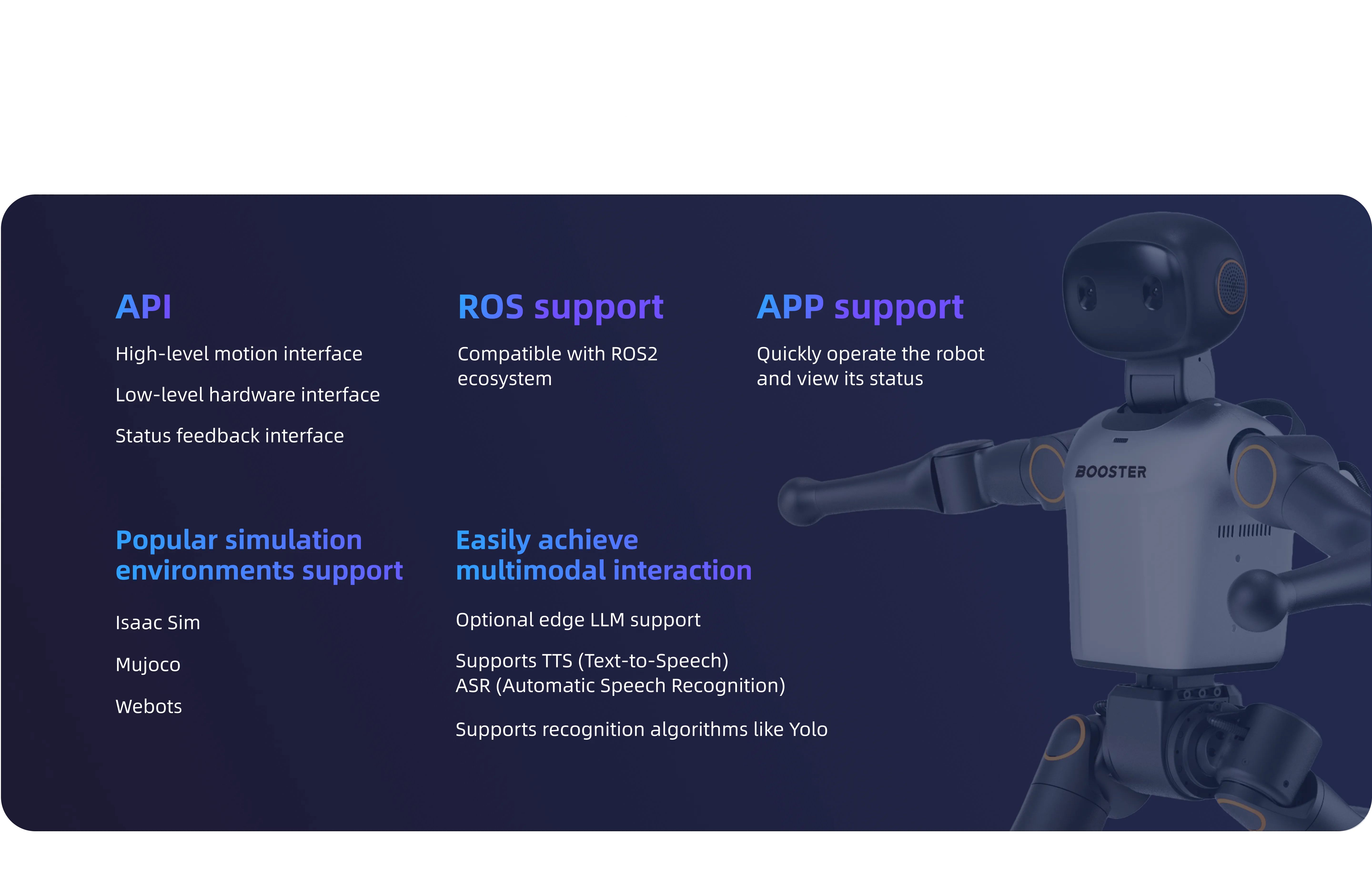 Booster Robotics Robots