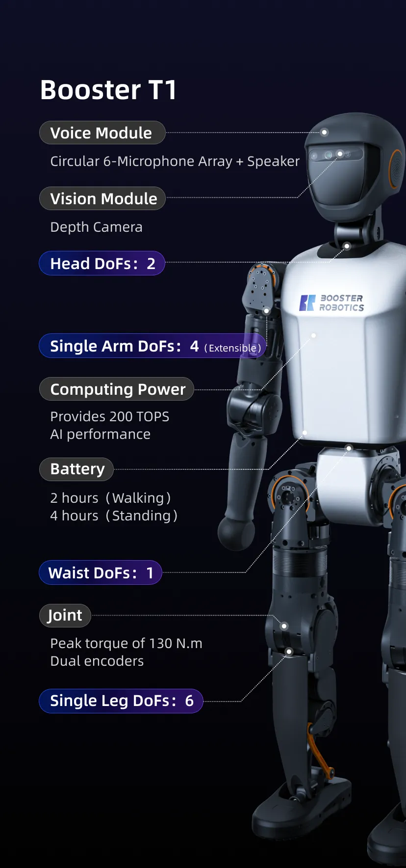 Booster Robotics Robots