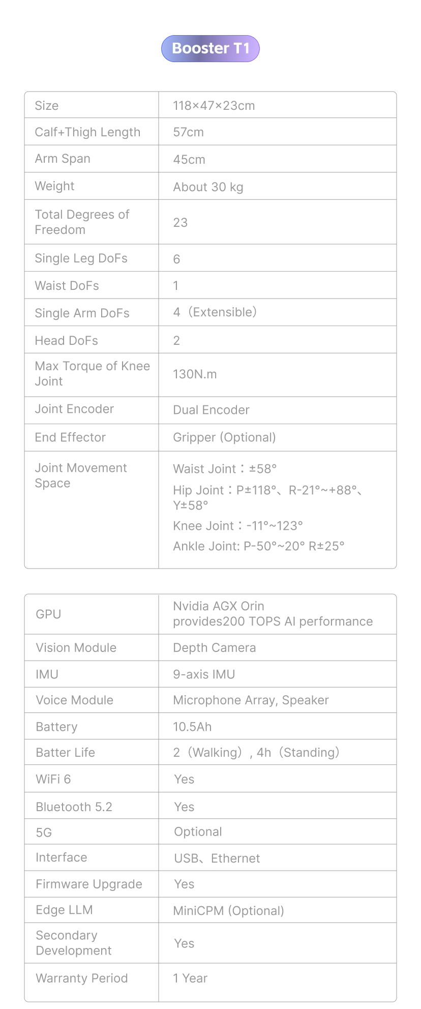 Booster Robotics Robots