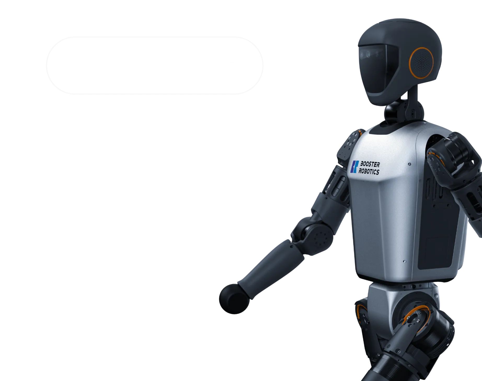 Booster Robotics Robots